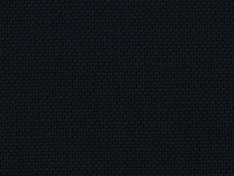 Sample of Perennials Rough 'n Rowdy Noir 955-16 Beyond the Bend Collection Upholstery Fabric