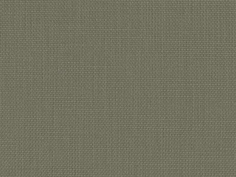 Sample of Perennials Rough 'n Rowdy Olive 955-264 Beyond the Bend Collection Upholstery Fabric