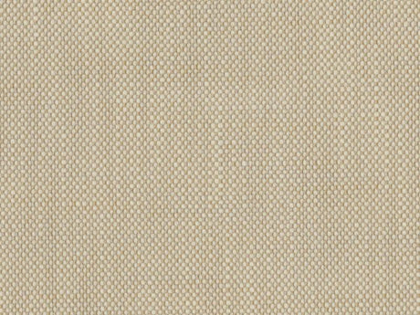 Sample of Perennials Rough 'n Rowdy Parchment 955-02 Beyond the Bend Collection Upholstery Fabric