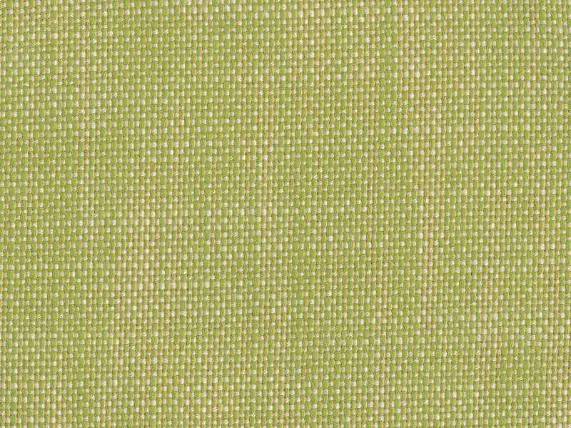 Sample of Perennials Rough 'n Rowdy Wasabi 955-305 Beyond the Bend Collection Upholstery Fabric