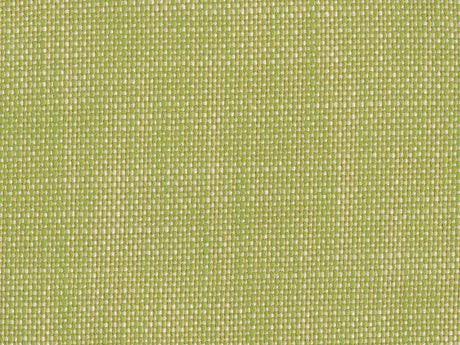 Sample of Perennials Rough 'n Rowdy Wasabi 955-305 Beyond the Bend Collection Upholstery Fabric