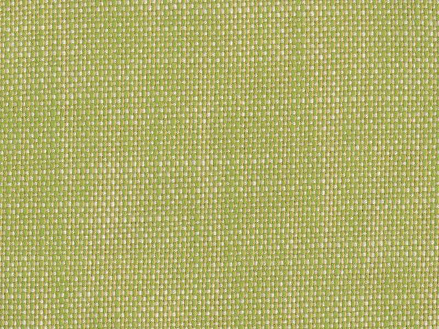 Sample of Perennials Rough 'n Rowdy Wasabi 955-305 Beyond the Bend Collection Upholstery Fabric
