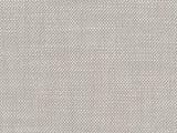 Sample of Perennials Rough 'n Rowdy White Sands 955-270 Beyond the Bend Collection Upholstery Fabric