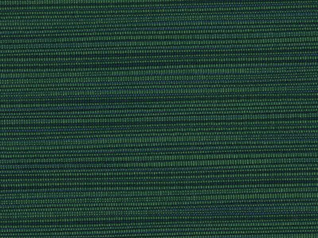 Sample of Perennials Snazzy Emerald 675-347 The Usual Suspects Collection Upholstery Fabric