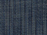 Sample of Perennials Stree-Yay! Blue Boy 942-390 Kidding Around Collection Upholstery Fabric