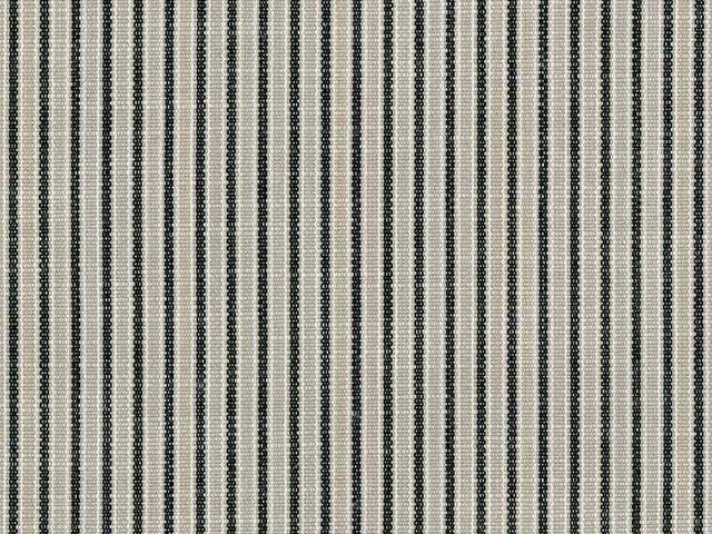 Sample of Perennials Tick Tock Stripe Noir 807-16 The Usual Suspects Collection Upholstery Fabric