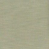 Sample of Perennials Tres Chic Seedling 921-747 Bannenberg and Rowell Collection Upholstery Fabric