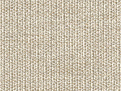 Sample of Perennials Whippersnapper Parchment 925-02 Rodeo Drive Collection Upholstery Fabric