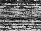Sample of Perennials Wild Child Goth 984-388 No Hard Feelings Collection Upholstery Fabric