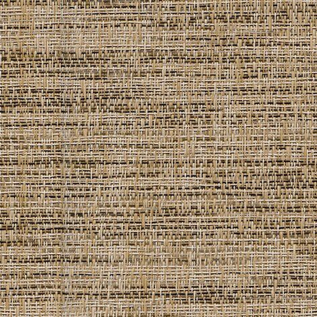 Sample of Phifertex Jacquards Hadley Cedar NEP 54-inch Sling Fabric