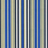 Phifertex Maui Royal LIS 54-Inch Resort Collection Sling Fabric