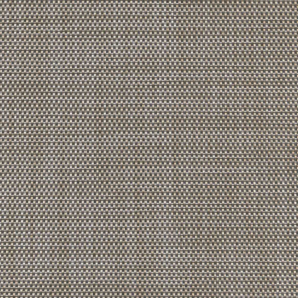Phifertex Plus Mica Pearl ZAY 54-inch Sling Fabric