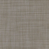 Phifertex Plus Mica Pearl ZAY 54-inch Sling Fabric