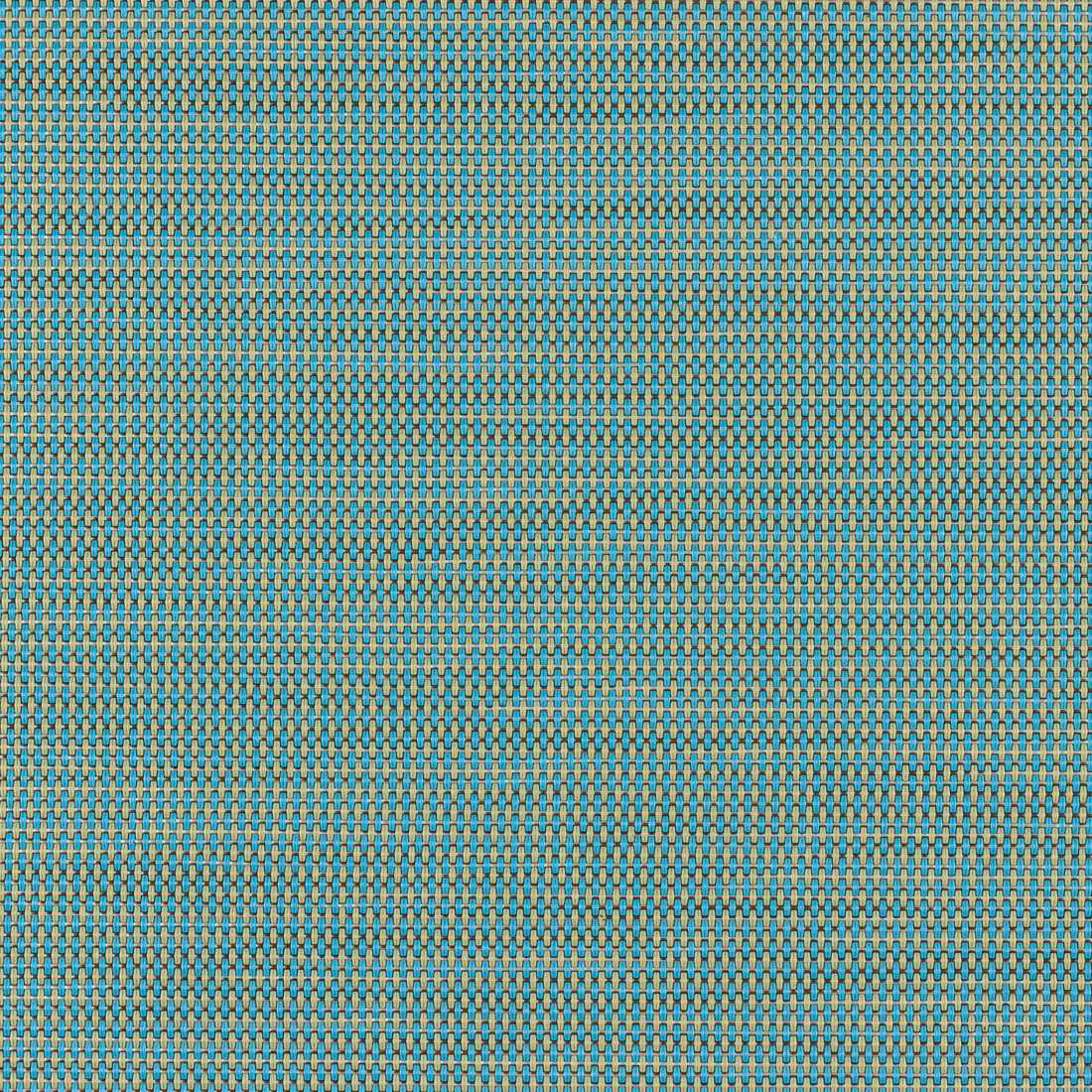 Phifertex Plus Straw Mat Blue LBY 54-inch Sling Fabric