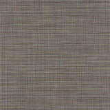 Sample of Phifertex Shelby Cadet Blue LDY 54-inch Wicker Weave Collection Sling Fabric