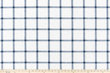 Premier Prints Aaron Italian Denim Slub Canvas Modern Farmhouse Collection Multipurpose Fabric