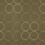 Robert Allen Binocular Cactus Color Library Collection Indoor Upholstery Fabric