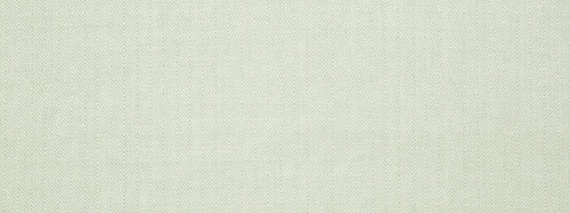 Robert Allen Inner Geo Aloe Color Library Collection Multipurpose Fabric