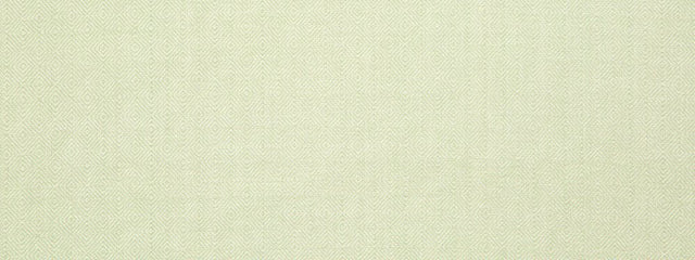 Robert Allen Inner Geo Spring Grass Color Library Collection Multipurpose Fabric