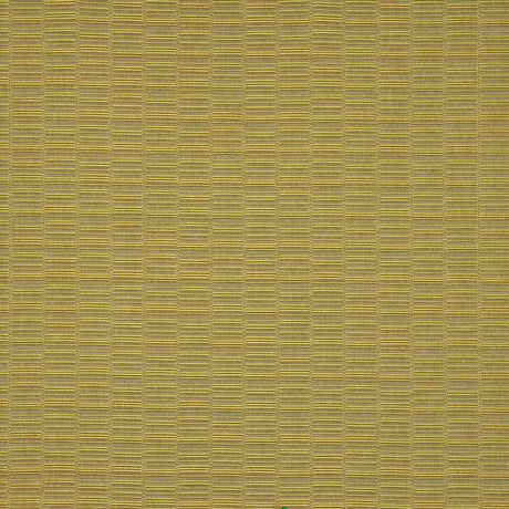Robert Allen Its Electric Zest Color Library Collection Indoor Upholstery Fabric