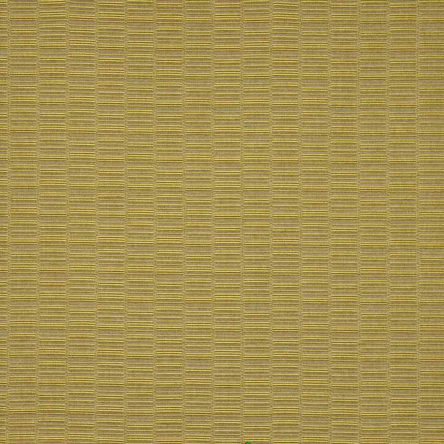 Robert Allen Its Electric Zest Color Library Collection Indoor Upholstery Fabric