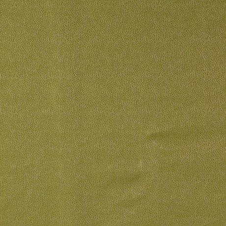 Robert Allen Kim Crackle Celery Color Library Collection Indoor Upholstery Fabric
