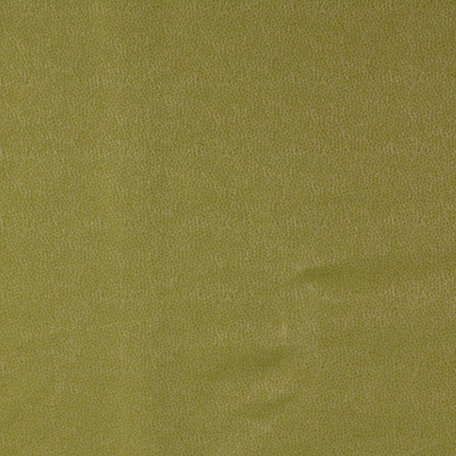 Robert Allen Kim Crackle Celery Color Library Collection Indoor Upholstery Fabric