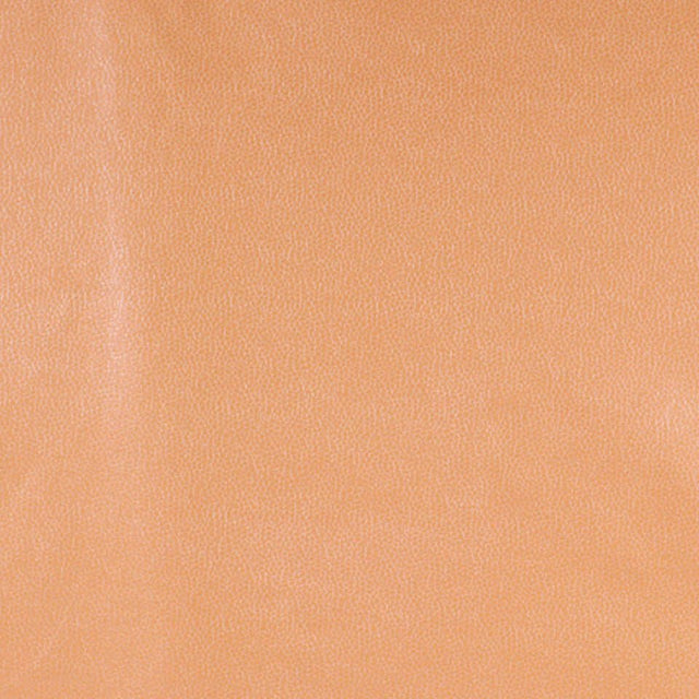 Robert Allen Kim Crackle Persimmon Color Library Collection Indoor Upholstery Fabric