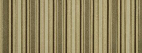 Robert Allen Kings Canyon Cocoa Color Library Collection Multipurpose Fabric