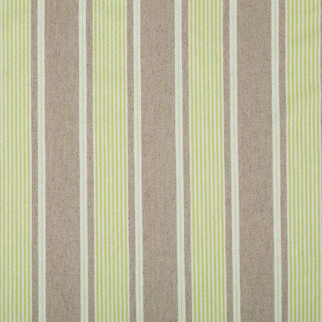 Robert Allen Little Brooke Spring Grass Color Library Collection Indoor Upholstery Fabric