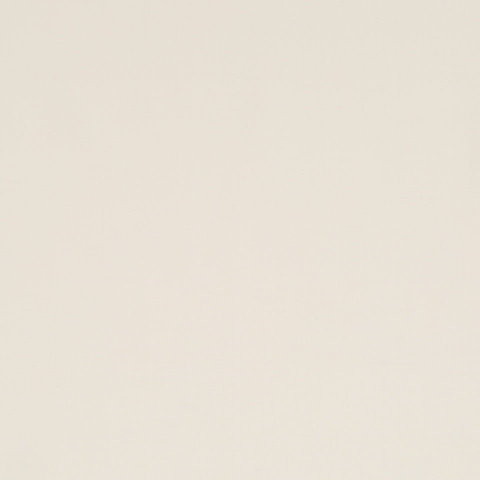 Robert Allen Metro Solid Straw Color Library Collection Multipurpose Fabric