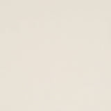 Robert Allen Metro Solid Straw Color Library Collection Multipurpose Fabric