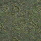 Robert Allen Modern Paisley Aloe Color Library Collection Indoor Upholstery Fabric