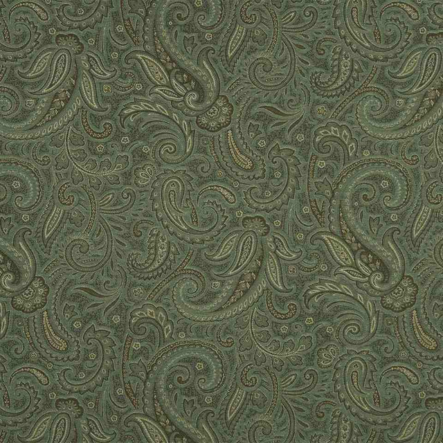 Robert Allen Modern Paisley Aloe Color Library Collection Indoor Upholstery Fabric