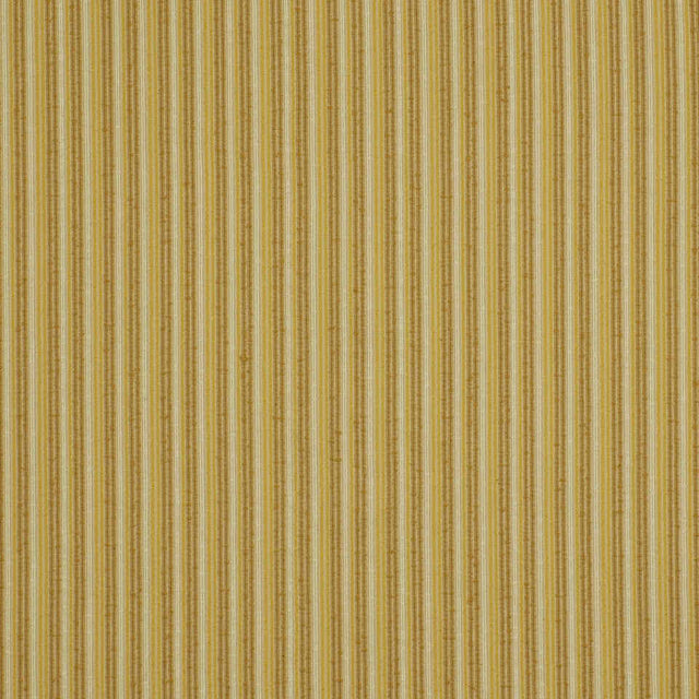 Robert Allen Pataday Honeysuckle Color Library Collection Indoor Upholstery Fabric
