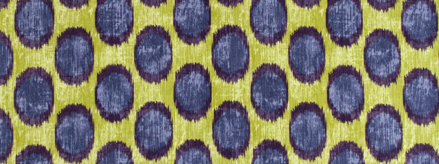 Robert Allen Peacock Ocelli Iris Color Library Collection Multipurpose Fabric