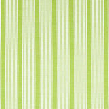 Robert Allen Sunbrella Aloha Stripe Spring Grass 242285 Open Air Collection Upholstery Fabric
