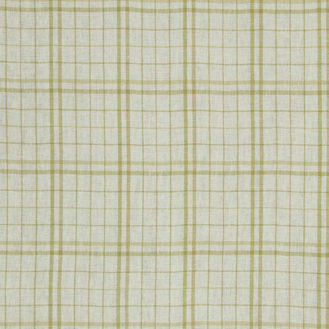 Robert Allen Sweet Honesty Zest Color Library Collection Multipurpose Fabric