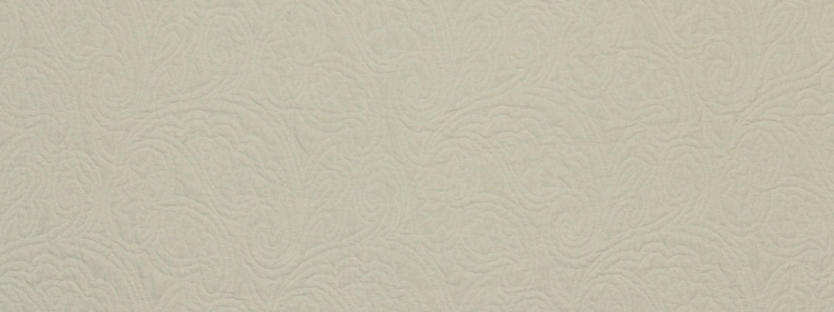 Robert Allen Tracing Nature Alabaster Color Library Collection Multipurpose Fabric
