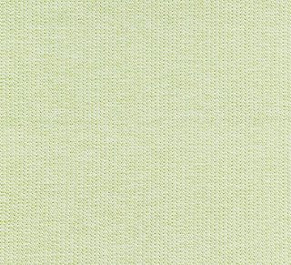 Scalamandre Capri Herringbone Palm SC 000227191 Isola Collection Upholstery Fabric