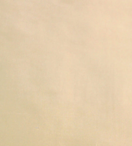 Scalamandre Dynasty Taffeta Cream SC 000336383 Essential Silks Collection Multipurpose Fabric