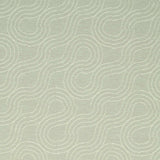 Schumacher Alma  Dove 79402 Indoor / Outdoor Prints and Wovens Collection Upholstery Fabric