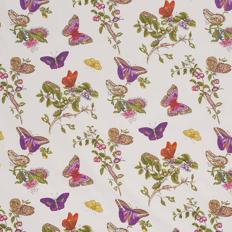 Schumacher Baudin Butterfly Chintz Purple 178722 Schumacher Classics Collection Indoor Upholstery Fabric