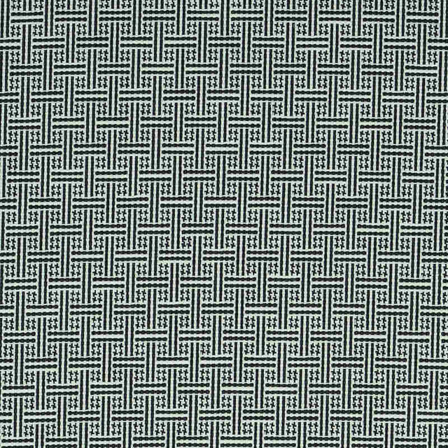 Schumacher Brickell  Black 75935 Indoor / Outdoor Prints and Wovens Collection Upholstery Fabric