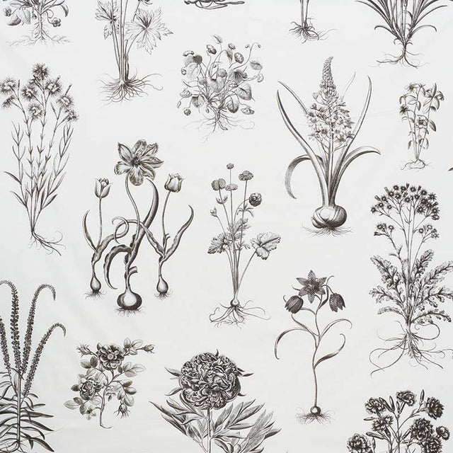 Schumacher Cabot Botanical Large Ivory 178740 Schumacher Classics Collection Indoor Upholstery Fabric