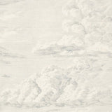 Schumacher Cloud Toile Delft 177001 Schumacher Classics Collection Indoor Upholstery Fabric