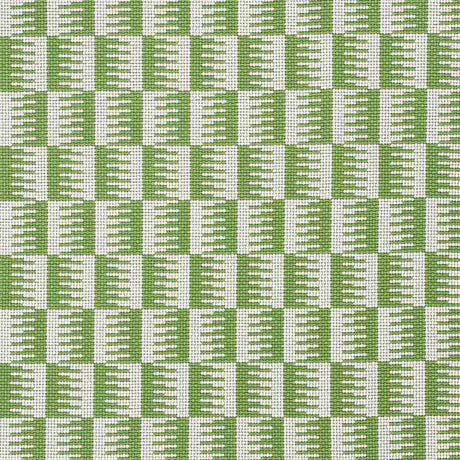 Schumacher Dovetail Green 73321 Indoor / Outdoor Prints and Wovens Collection Upholstery Fabric