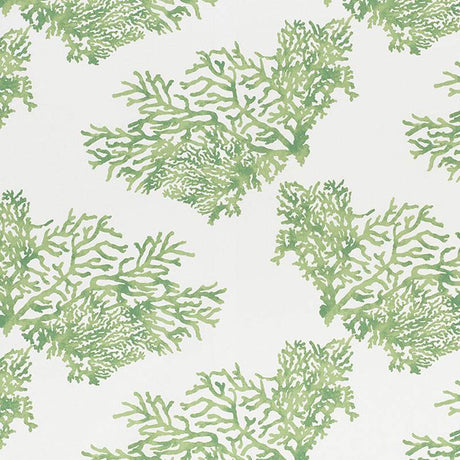 Schumacher Great Barrier Reef II Green 178291 Indoor / Outdoor Prints and Wovens Collection Upholstery Fabric