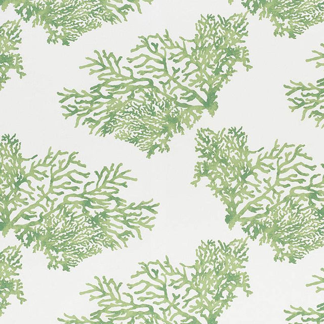 Schumacher Great Barrier Reef II Green 178291 Indoor / Outdoor Prints and Wovens Collection Upholstery Fabric