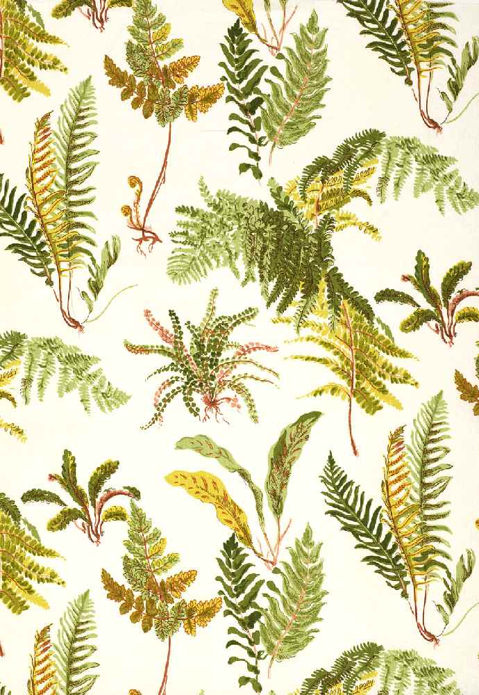 Schumacher Les Fougeres Spring 174091 Schumacher Classics Collection Indoor Upholstery Fabric